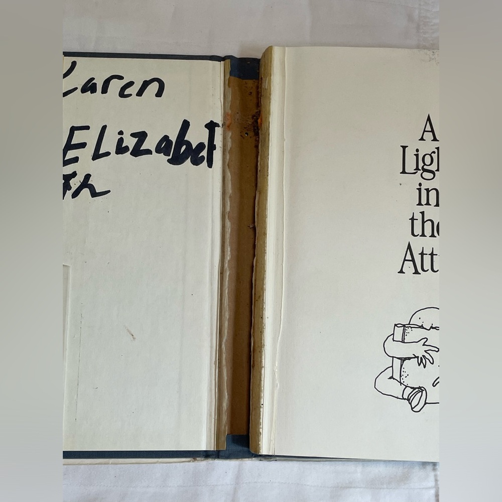 A Light In The Attic Shel Silverstein Book Pre Owned 1981 Poems And Drawings 📖 - Picture 6 of 9